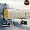 Wilson Decorative White Birch Log Bundle, Natural Bark Wood Home Décor 1.5-3" Dia. X 17.5" or 24" Length